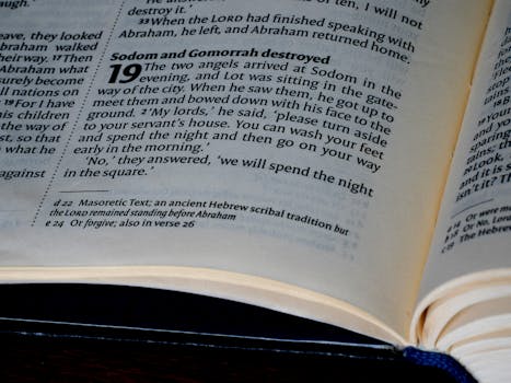 Průvodce výběrem těhotenského spodního prádla pro druhý trimestr